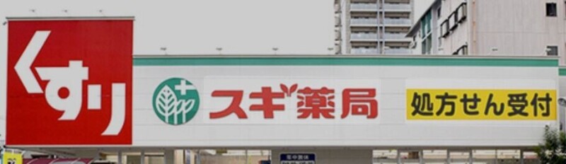 ドラックストア　スギ薬局林寺店（ドラッグストア）まで392m