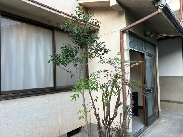 眺望　窓から見える緑は日除けと目隠しと癒しのトリプル効果。