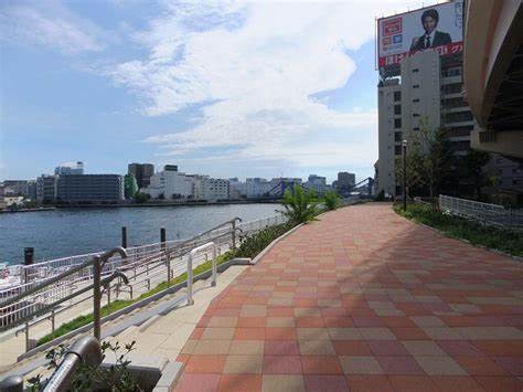 公園　中洲公園（公園）まで1155m