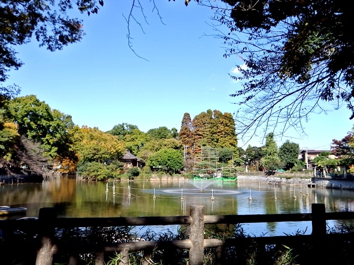 公園　碑文谷公園（公園）まで374m