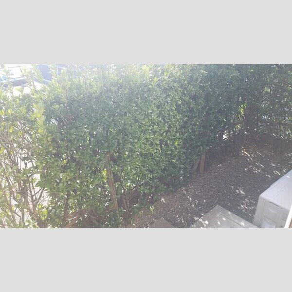 バルコニー　専用庭