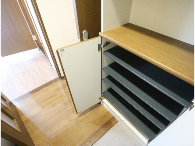 玄関　シンプルで使いやすい玄関です