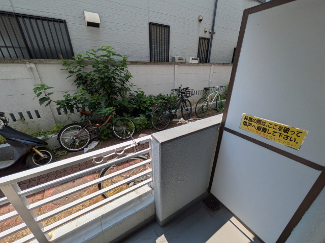 庭