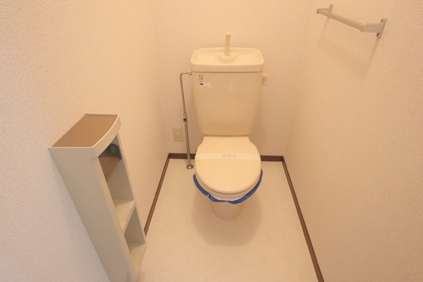 メゾンヴェールAのトイレ写真