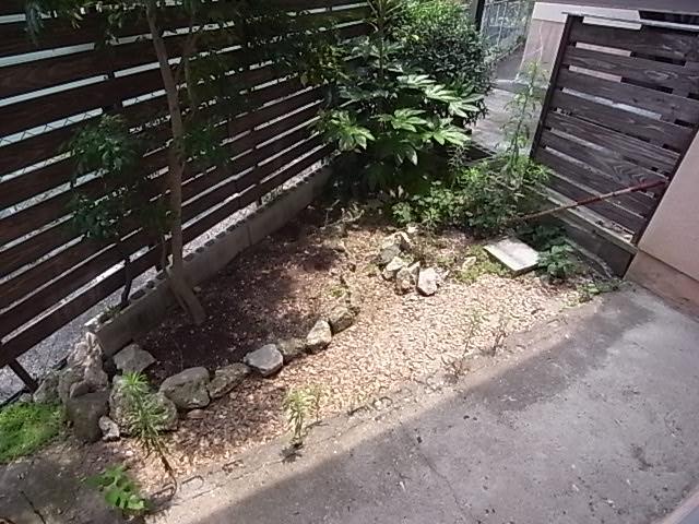 庭