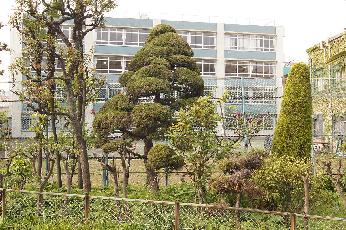 小学校　新宿区立花園小学校（小学校）まで80m