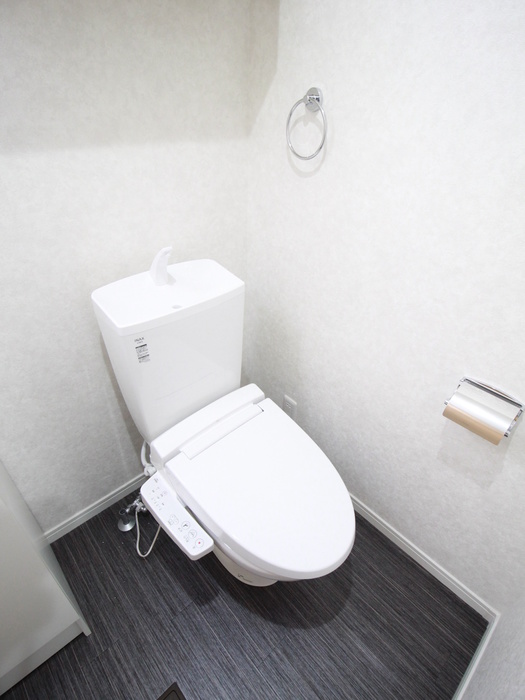 Green Lagoon 上山2丁目のトイレ写真