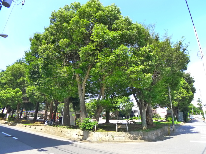 公園　向原公園（公園）まで80m