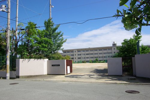 中学校　尼崎市立　南武庫之荘中学校（中学校）まで928m