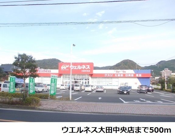ドラックストア　ウエルネス大田中央店（ドラッグストア）まで500m