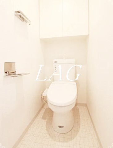 DIPS東十条のトイレ写真