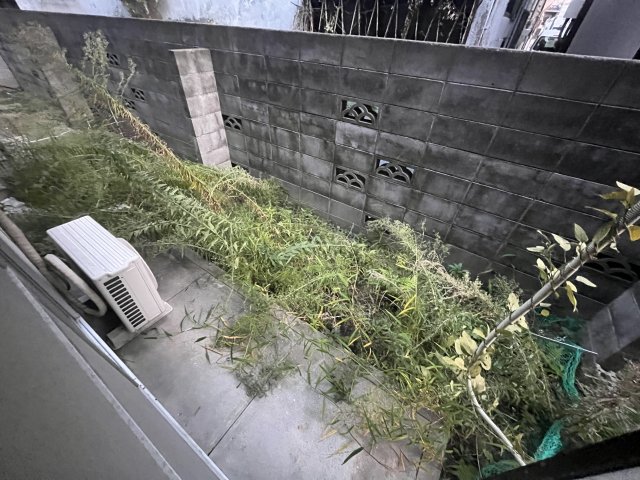 庭