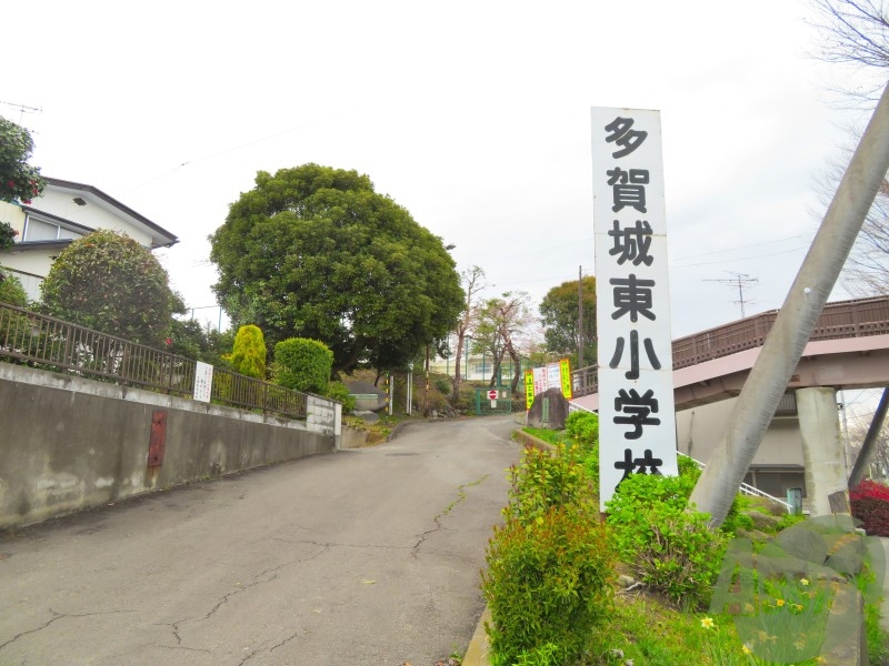 【多賀城市大代のアパートの小学校】