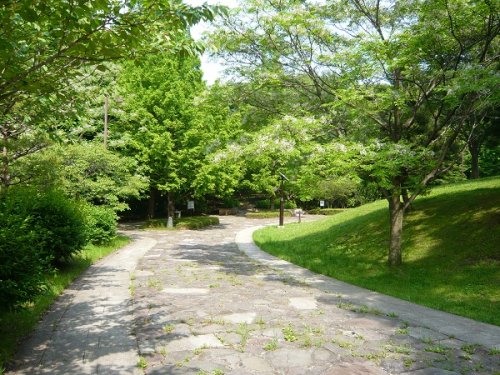 【フォレスト永山の公園】