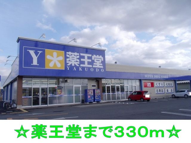 ドラックストア　薬王堂（ドラッグストア）まで330m