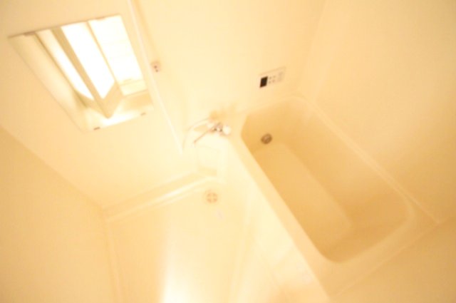 バス・シャワールーム　落ち着いた空間のお風呂です