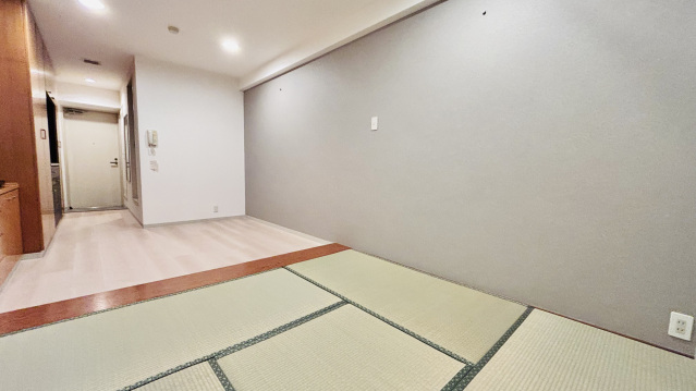 居室・リビング　畳表替済