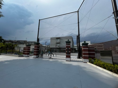 小学校　板橋区立板橋第十小学校（小学校）まで383m
