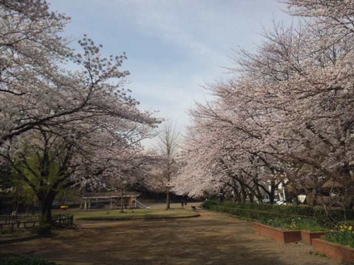 公園　御幣公園（公園）まで365m