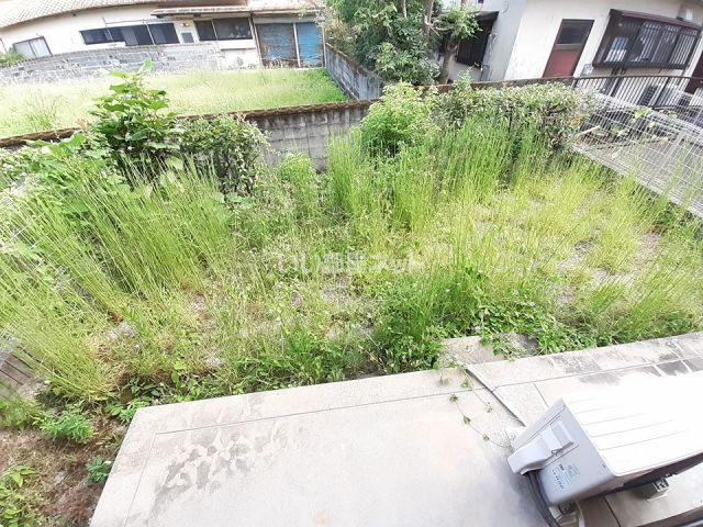 庭
