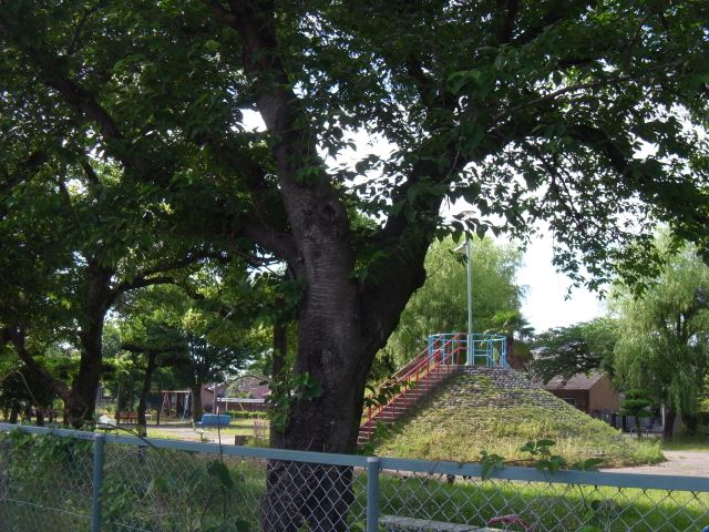 公園　戸田公園（公園）まで380m