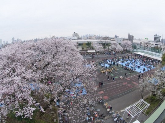 公園　ふるさと千川(広場)（公園）まで496m