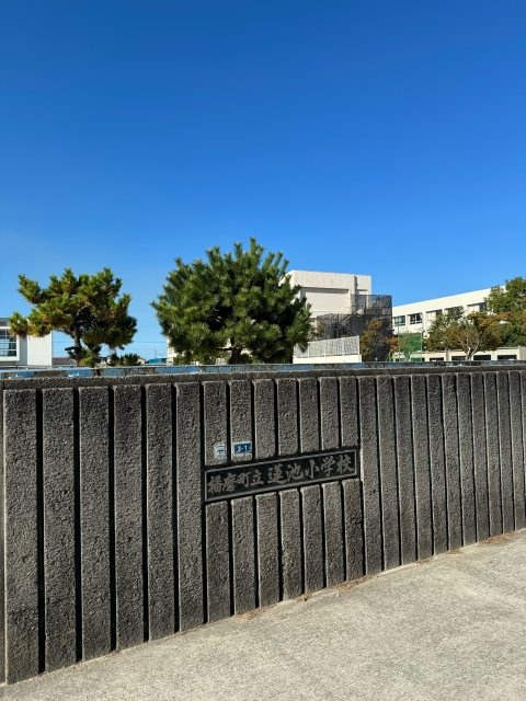 小学校　播磨町立蓮池小学校（小学校）まで532m