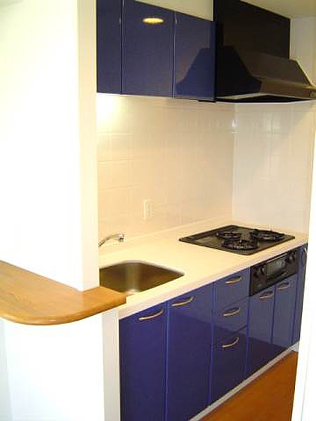 キッチン　※別部屋参考写真