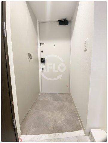 玄関　エステムコート難波VIIビヨンド　玄関