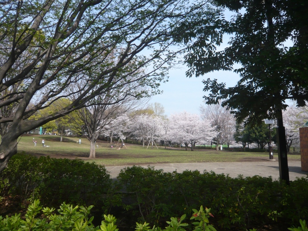 公園　祖師谷公園（公園）まで337m
