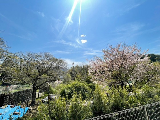 眺望　※別部屋の写真です