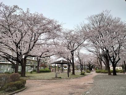 公園　鎌倉公園（公園）まで270m