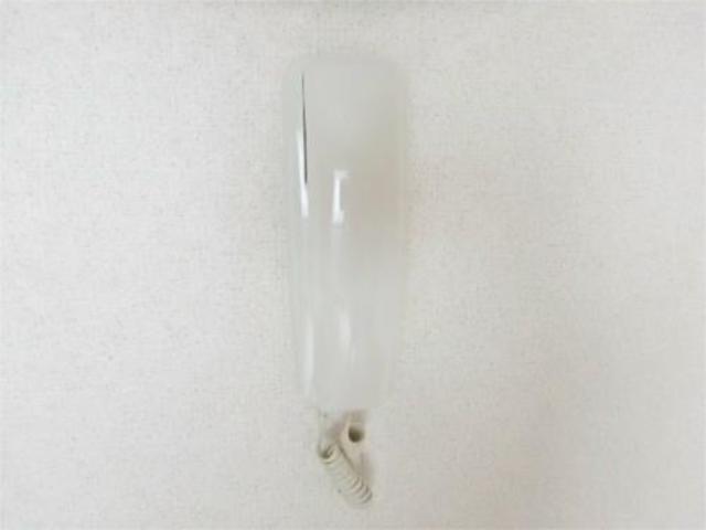 セキュリティ　インターホン付き