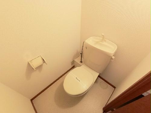 トイレ　トイレスペースです。