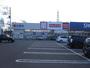 ドラックストア　ドラッグスギ天川大島店（ドラッグストア）まで775m