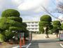 中学校　引野中学校（中学校）まで880m