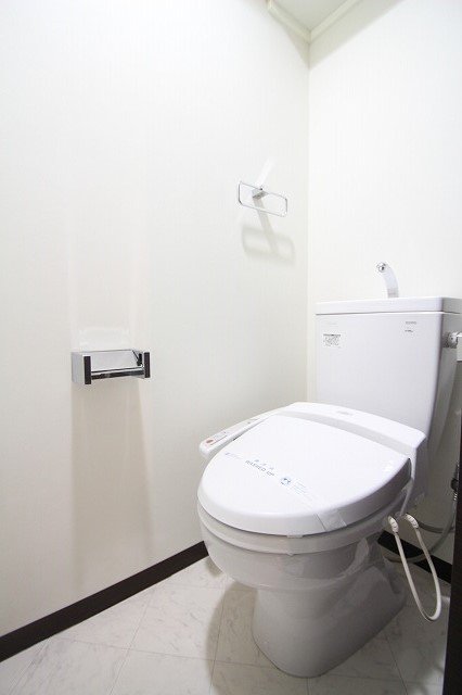 トイレ　同物件、別号室の写真