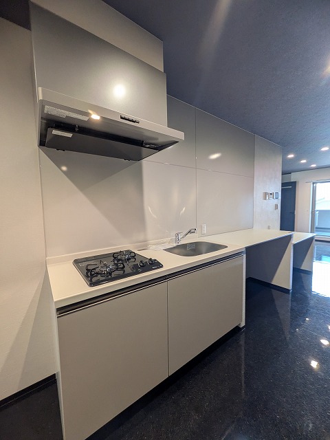 キッチン　同物件、別号室のものです。