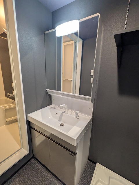 洗面設備　同物件、別号室のものです。