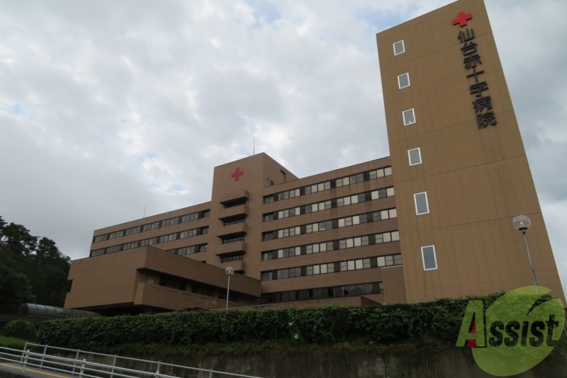 病院　仙台赤十字病院（病院）まで1081m