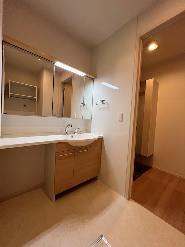 洗面設備　同仕様写真