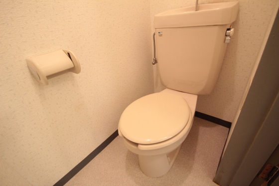 トイレ　※別部屋の写真です