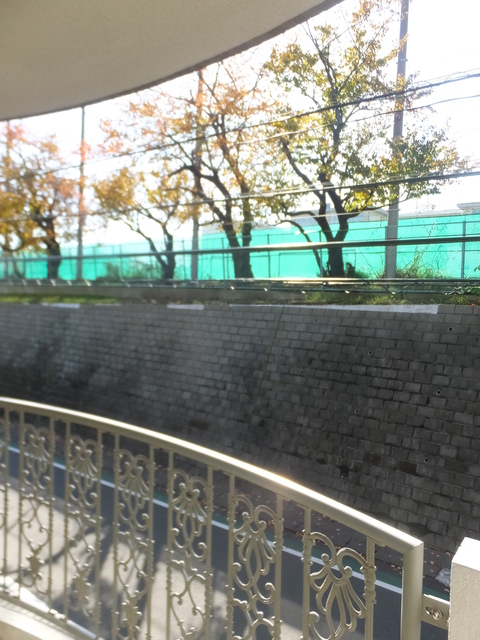 眺望　前面は建物もなく日当たり良好