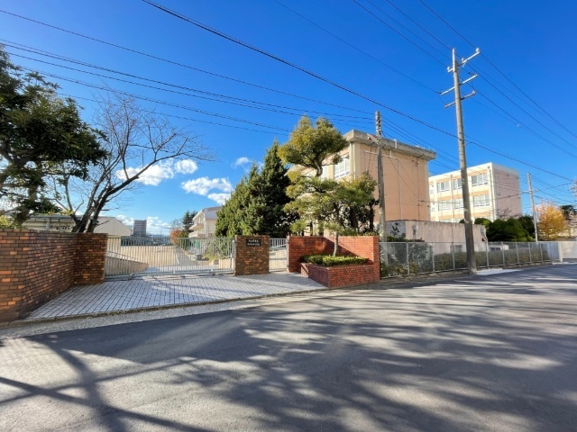 中学校　名古屋市立新郊中学校（中学校）まで1206m