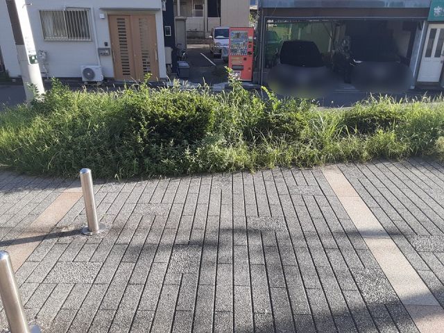 眺望