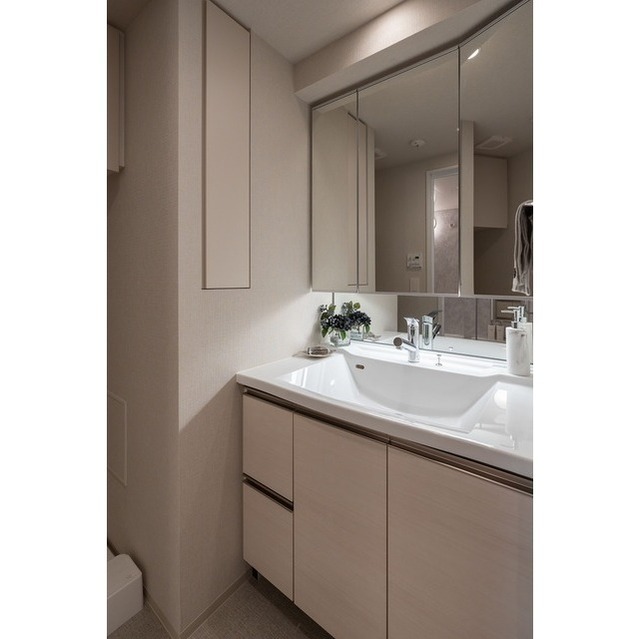 洗面設備　【家具・家電の備え付けはありません】