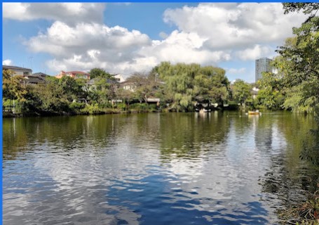 公園　石神井公園（公園）まで757m