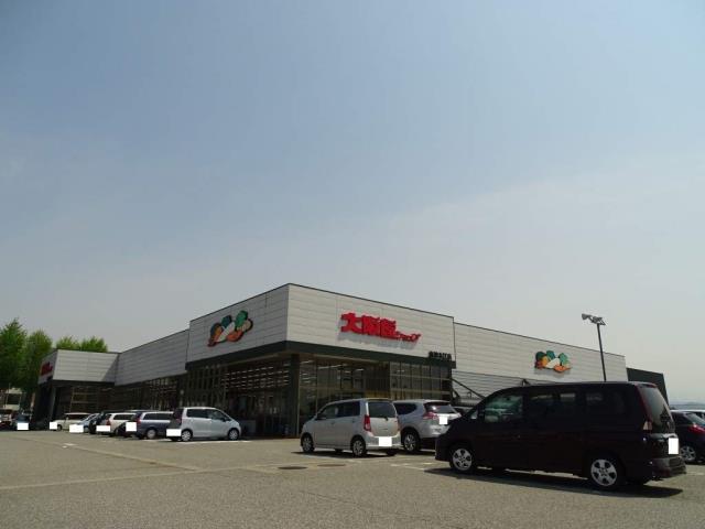 スーパー　（株）大阪屋ショップ／魚津本江店（スーパー）まで1308m