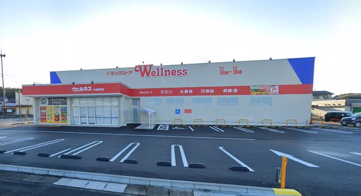 ドラックストア　ウェルネス　宍道昭和店（ドラッグストア）まで1106m