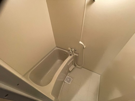 バス・シャワールーム　※別部屋の写真です